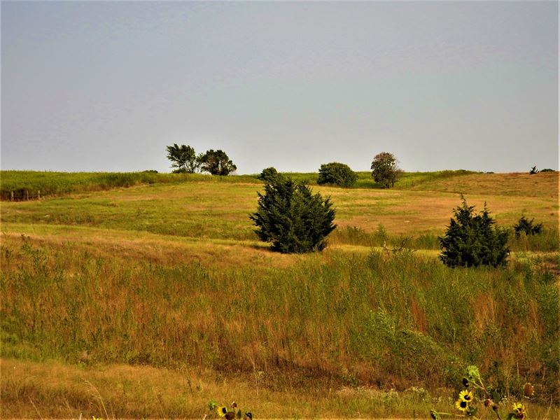 Gosper County Nebraska Referee Land : Holbrook : Gosper County : Nebraska