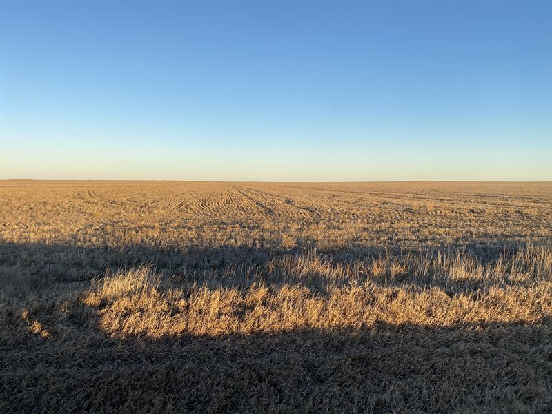 Lane County, KS Auction : Dighton : Lane County : Kansas