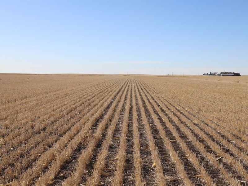 Cole Farm, Llc Auction : Brule : Keith County : Nebraska
