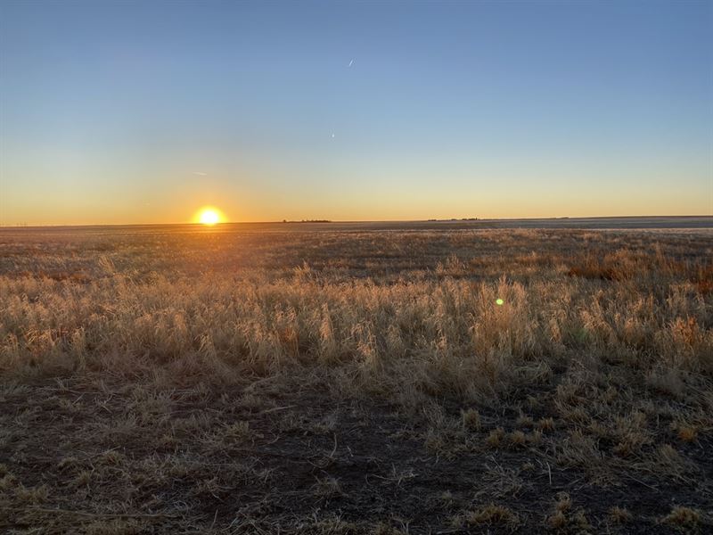 Colorado Dryland Farm, Seibert CO : Seibert : Kit Carson County : Colorado