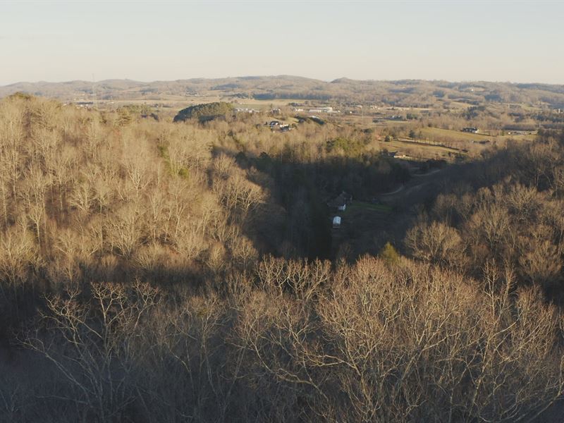East Tennessee Woodland Auction : Speedwell : Claiborne County : Tennessee