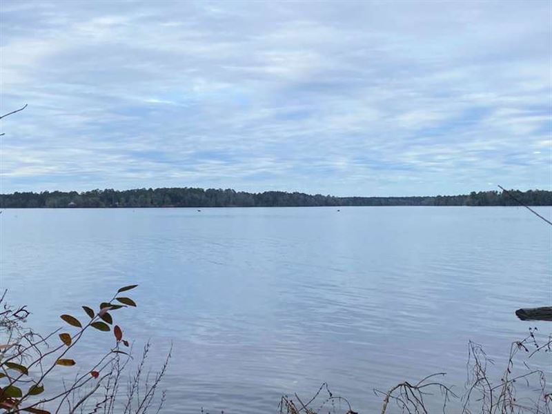 Lake Talquin Waterfront Homesite, Land Auction in Florida, 266216