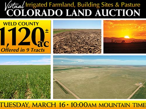 Virtual Colorado Land Auction : Roggen : Weld County : Colorado