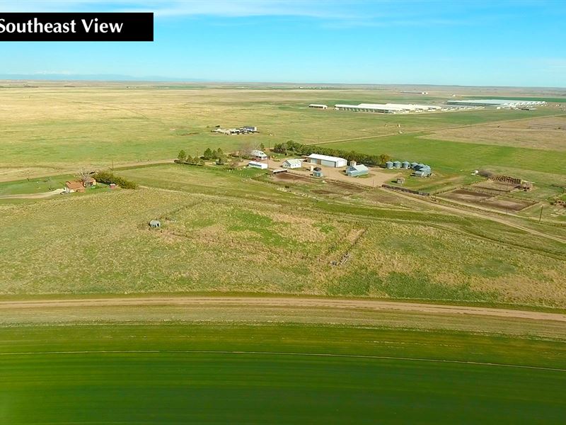 Virtual Colorado Land Auction : Roggen : Weld County : Colorado