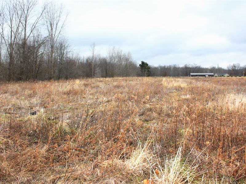 Online Only Real Estate Auction : Warsaw : Kosciusko County : Indiana