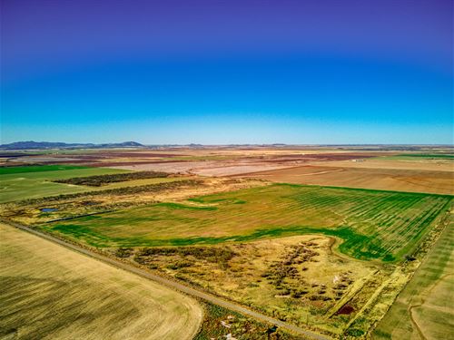 160 Acres, Kiowa County, OK : Roosevelt : Kiowa County : Oklahoma