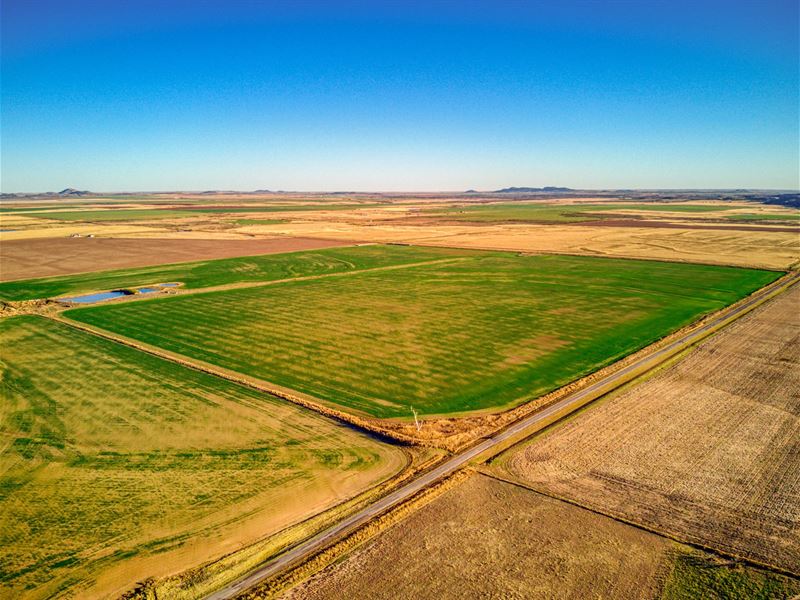 160 Acres, Kiowa County, OK : Roosevelt : Kiowa County : Oklahoma