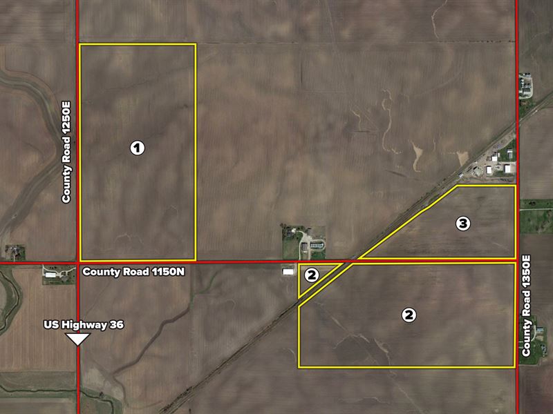 Douglas County Farmland Auction : Tuscola : Douglas County : Illinois