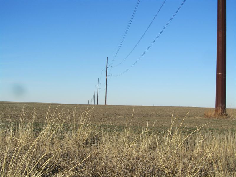Cultivation, Grass & Crp : Liebenthal : Rush County : Kansas