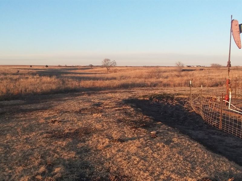 Rush Co. Grasses & Cultivation : Liebenthal : Rush County : Kansas