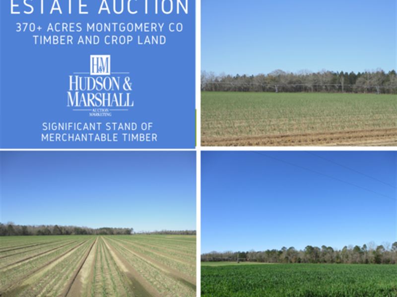 Estate Auction in Montgomery Co. GA : Uvalda : Montgomery County : Georgia