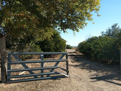 Acreage for Auction in Tonopah, AZ : Tonopah : Maricopa County : Arizona