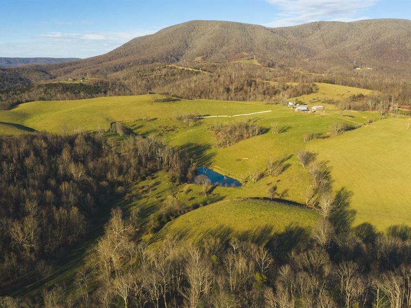Farm Auction in Giles County VA : Pembroke : Giles County : Virginia