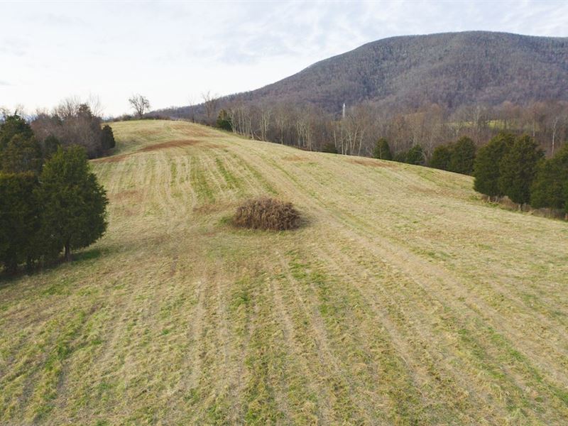 Hunting Land for Sale in Giles VA : Pembroke : Giles County : Virginia
