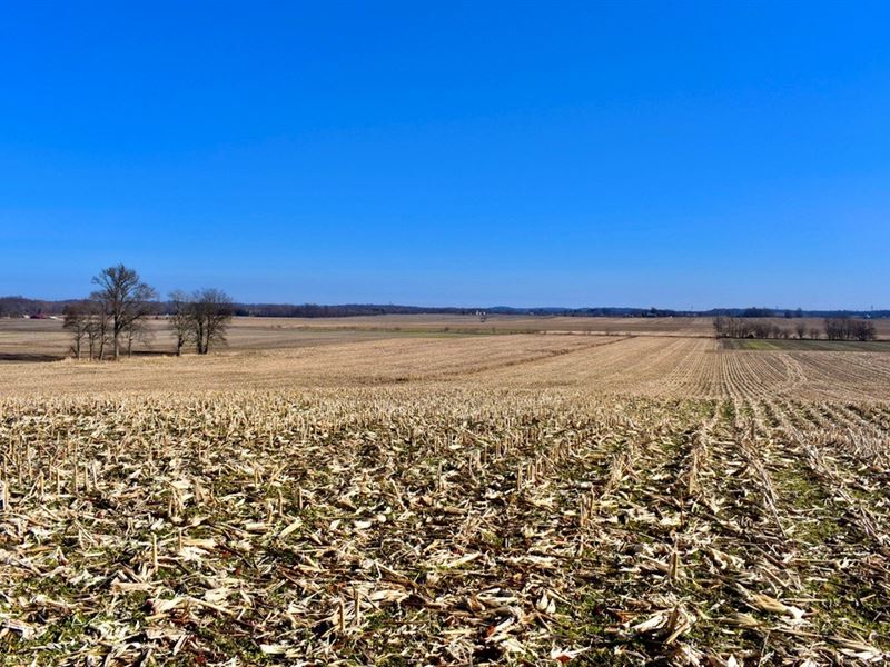 Spencer County Farm Auction, 47 : Chrisney : Spencer County : Indiana