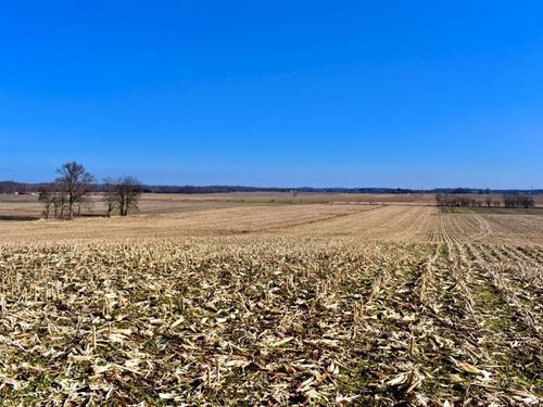 Spencer County Farm Auction, 47 : Chrisney : Spencer County : Indiana