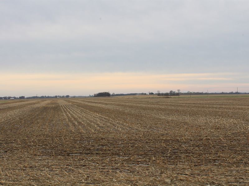 Illinois Land Auction : Coffeen : Montgomery County : Illinois