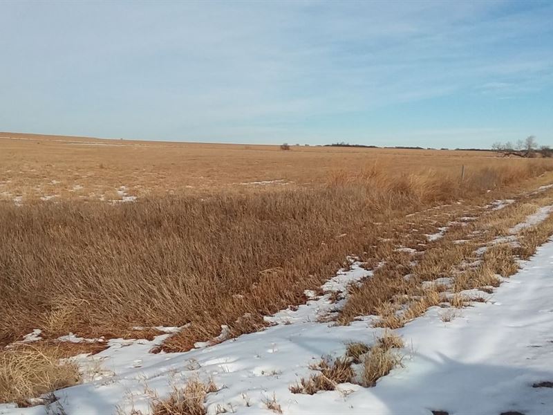 Ness Hwy 4 Grass & Crp : Utica : Ness County : Kansas