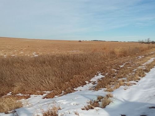 Ness Hwy 4 Grass & Crp : Utica : Ness County : Kansas