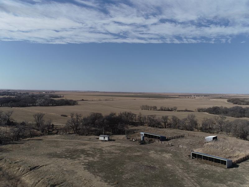 Big Timber Creek Rush Co. Grass : Liebenthal : Rush County : Kansas