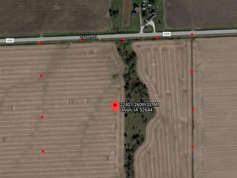 38.5 Acres M/L Des Moines County : Mount Union : Des Moines County : Iowa