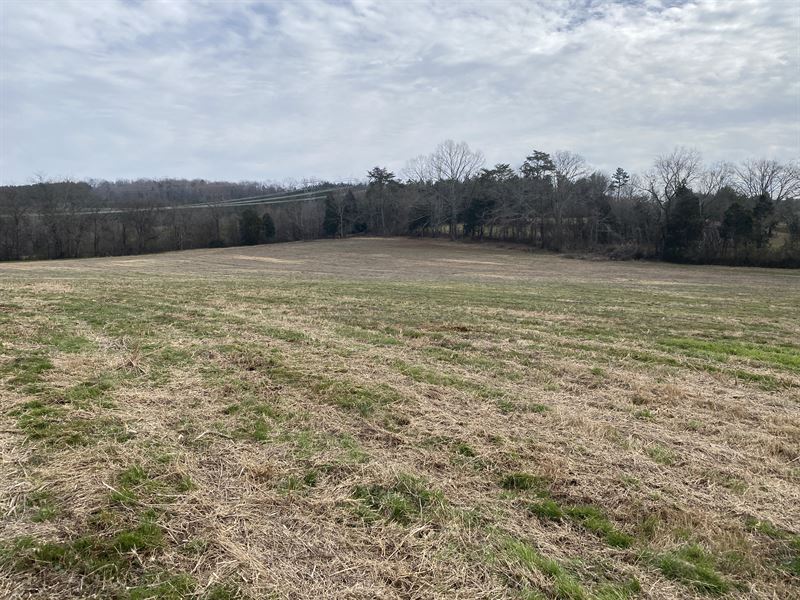 5 Properties Meigs County Estate : Decatur : Meigs County : Tennessee