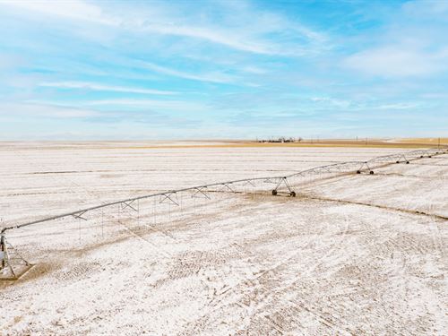 Rother Farm & Ranch Auction : Cheyenne Wells : Cheyenne County : Colorado