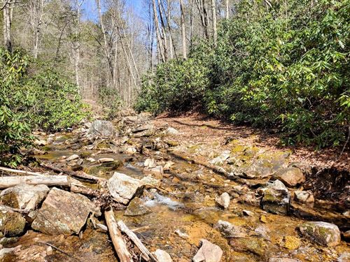 Hunting Land in Dugspur VA : Dugspur : Carroll County : Virginia