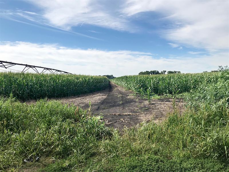 Land Auction in Indiana : New Carlisle : Saint Joseph County : Indiana