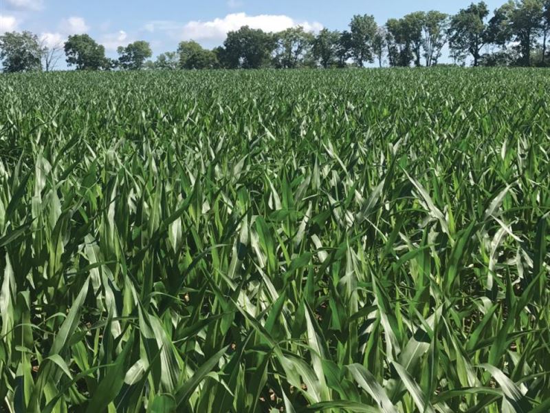 Preserved Farms Totaling 173 Acres : Phillipsburg : Warren County : New Jersey