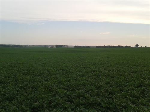 Tract 1 3 Sealed Bid Auction : King City : Gentry County : Missouri
