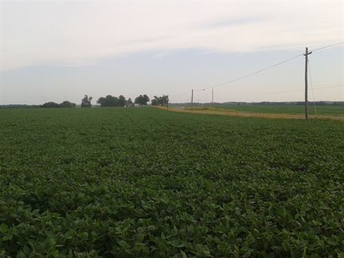 Tract 2 3 Sealed Bid Auction : King City : Gentry County : Missouri