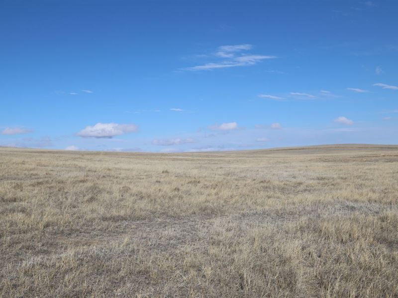 Richard Jones Land Auction : Akron : Washington County : Colorado