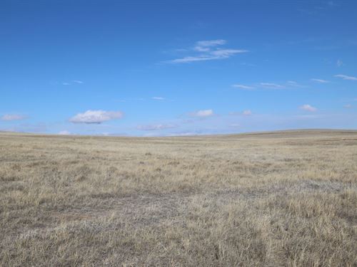 Richard Jones Land Auction : Akron : Washington County : Colorado