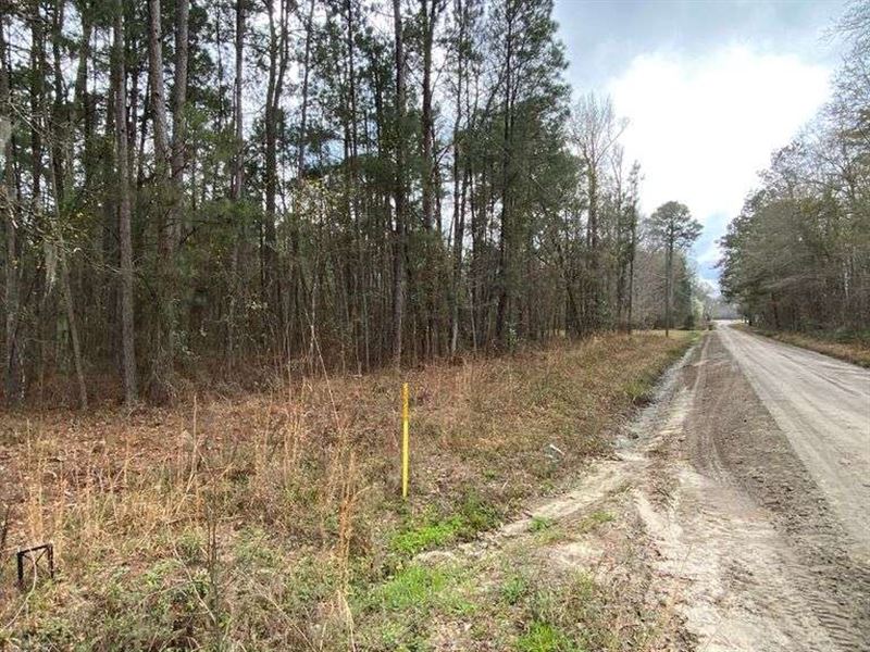 Residential Land : Bamberg : Bamberg County : South Carolina