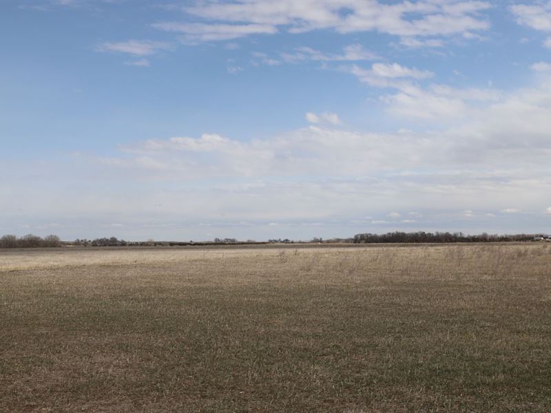 Richard Jones Irrigation Auction : Fort Morgan : Morgan County : Colorado