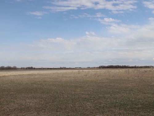 Richard Jones Irrigation Auction : Fort Morgan : Morgan County : Colorado