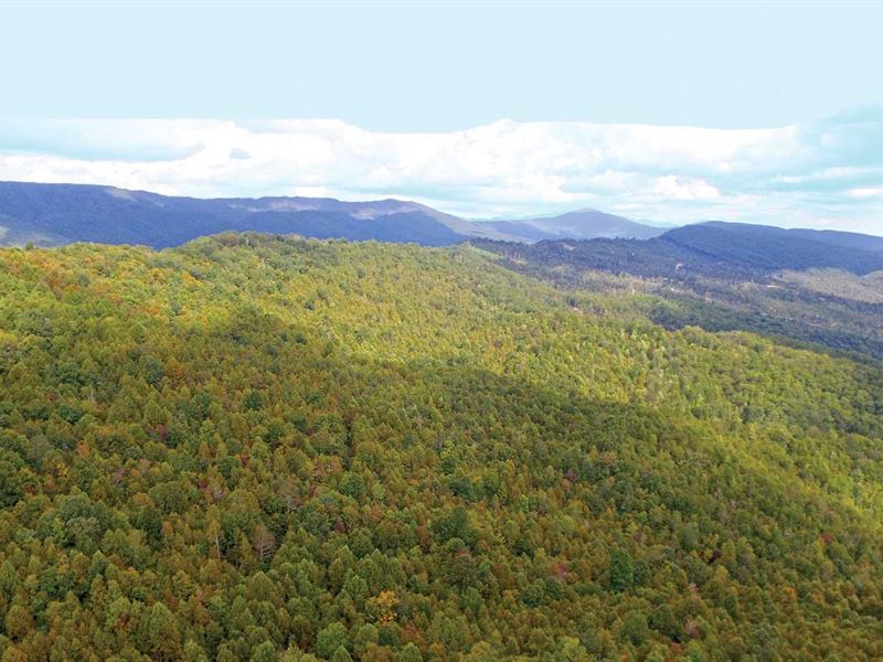 Land Auction, 2,395 Acres : Roanoke : Roanoke County : Virginia