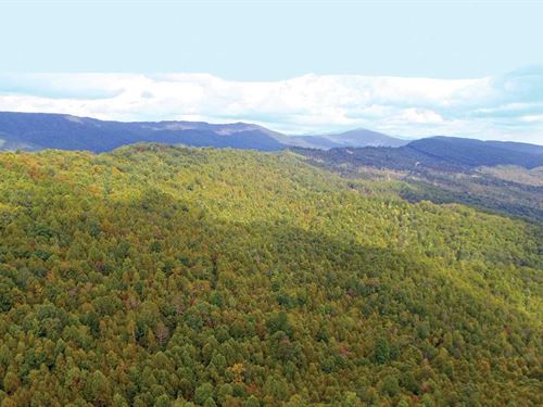 Land Auction, 2,395 Acres : Roanoke : Virginia