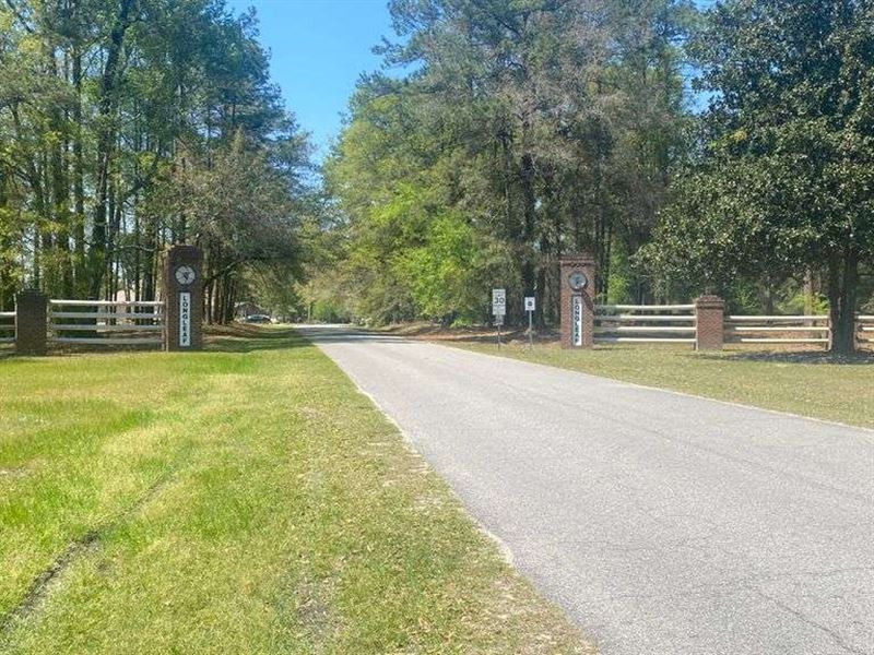 Bank Owned, 4 Residential Lots : Walterboro : Colleton County : South Carolina