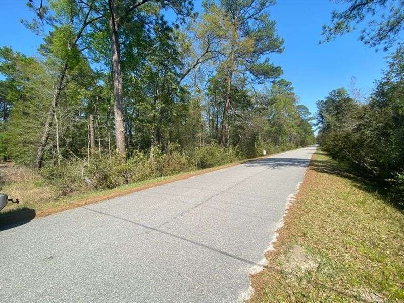 Bank Owned, 10 Residential Lots : Walterboro : Colleton County : South Carolina