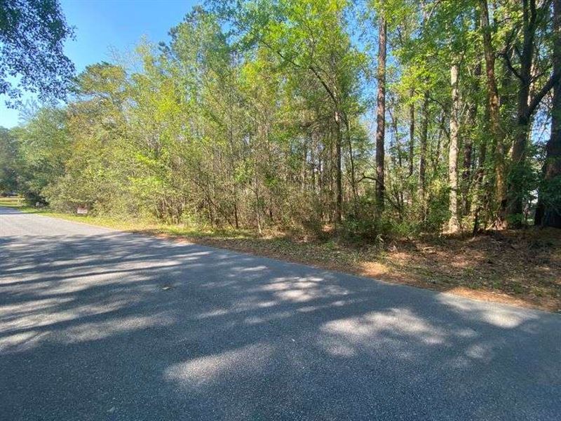 Bank Owned, 6 Residential Lots : Walterboro : Colleton County : South Carolina