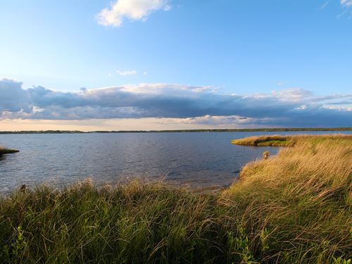 Land Auction In North Carolina : Merritt : Pamlico County : North Carolina