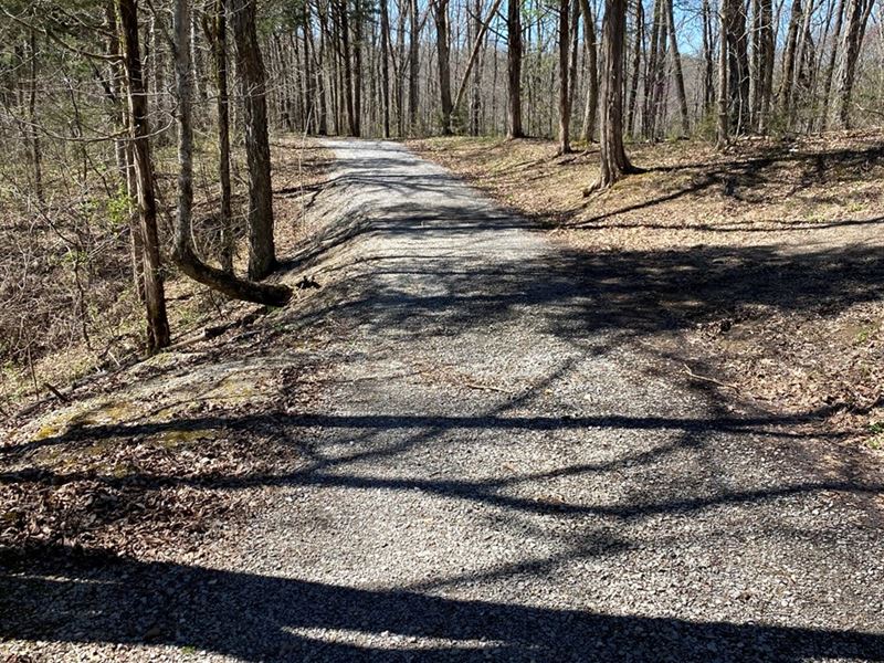 321,310 BF Marketable Sized Timber : Jamestown : Russell County : Kentucky