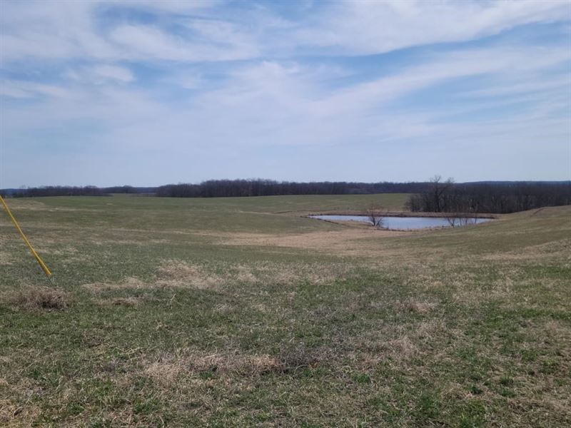 Online Only Land Auction Sullivan : Milan : Sullivan County : Missouri