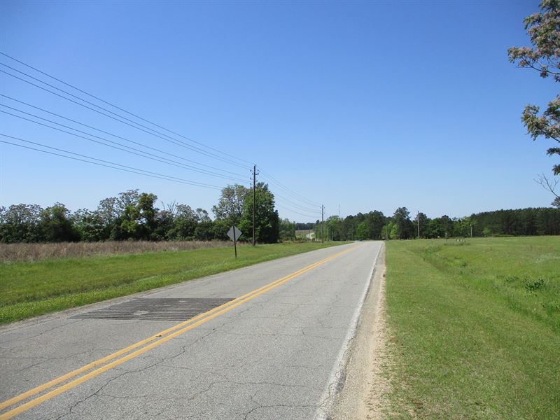 100 Acres in Montgomery County, GA : Higgston : Montgomery County : Georgia