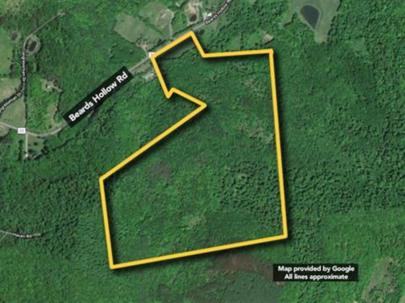 89.72 Ac in Richmondville, NY : Richmondville : Schoharie County : New York