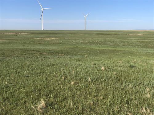 Stone Pointe Ranch SE Quarter : Calhan : El Paso County : Colorado