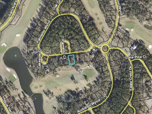 Auction, Golf Course Lot : Waverly : Camden County : Georgia