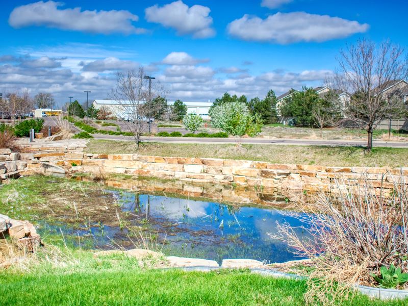 Colorado Auction 3 Fully Developed : Brighton : Adams County : Colorado